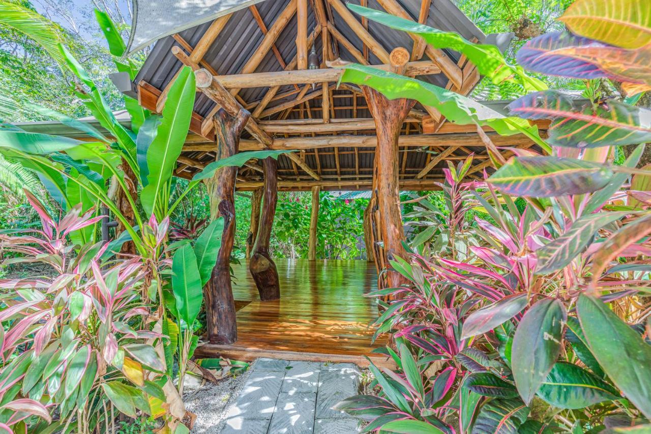 Hotel Guiones ノサラ エクステリア 写真